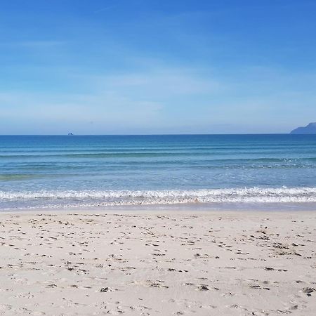 Ideal Property Mallorca - Delicias Alcudia  Eksteriør billede