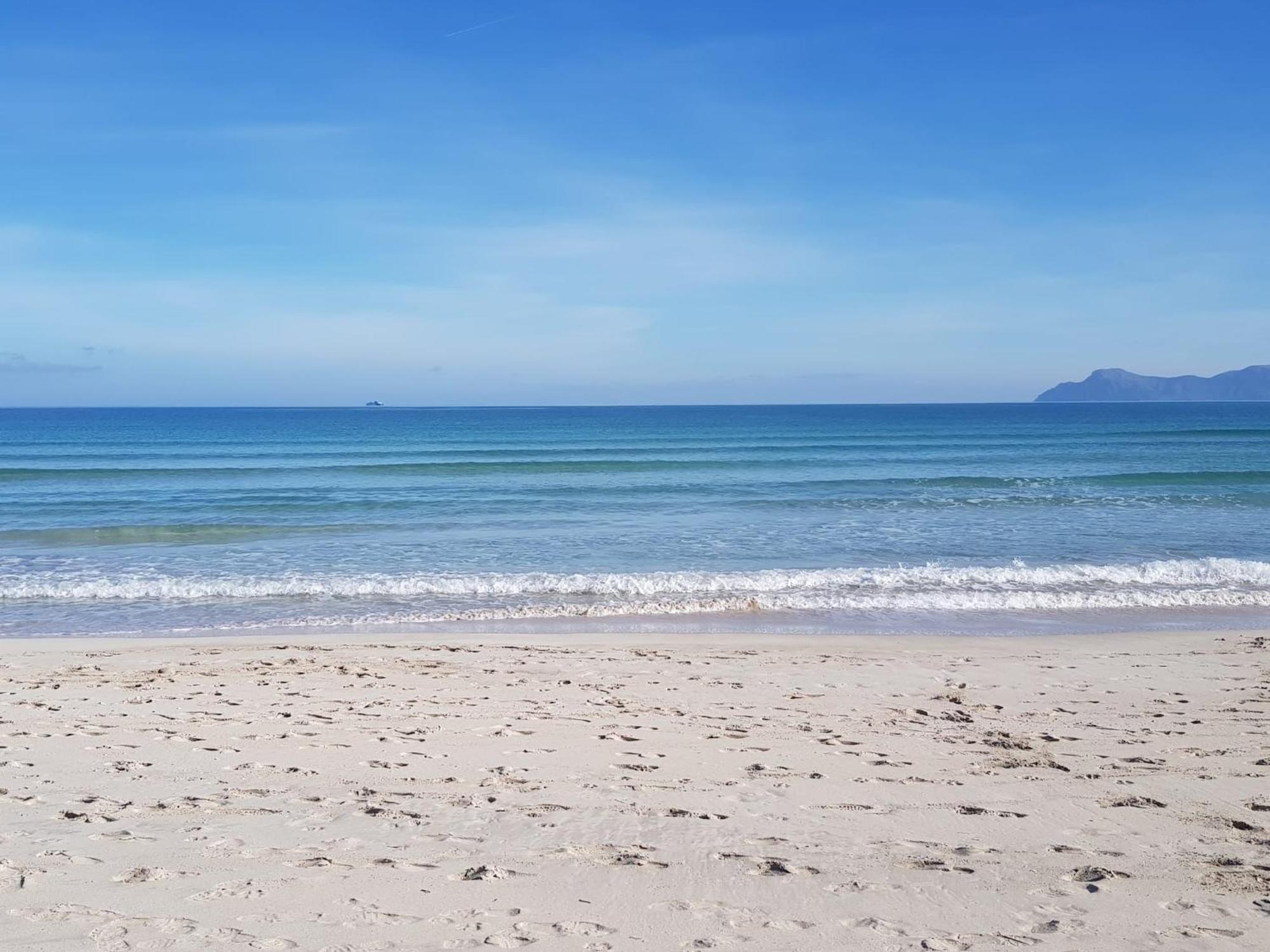 Ideal Property Mallorca - Delicias Alcudia  Eksteriør billede